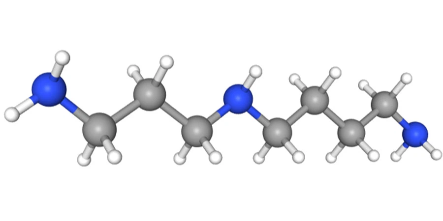 Spermidine e