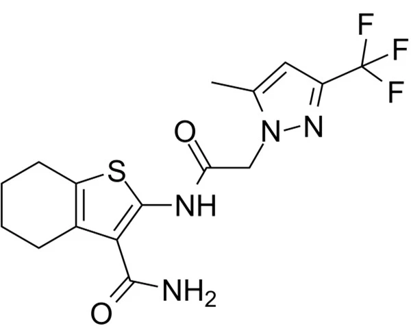hbt1 powder mf