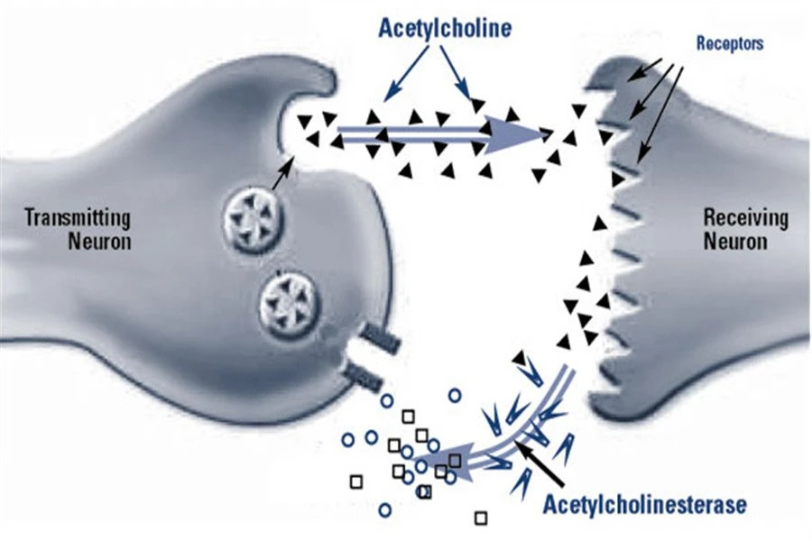 galantamine hydrobromide 1