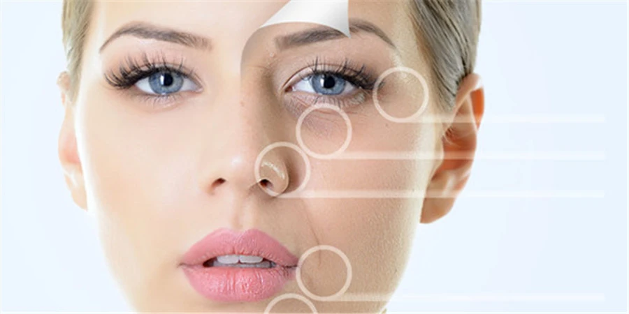 Rhodiola Rosea Root Powder effect2