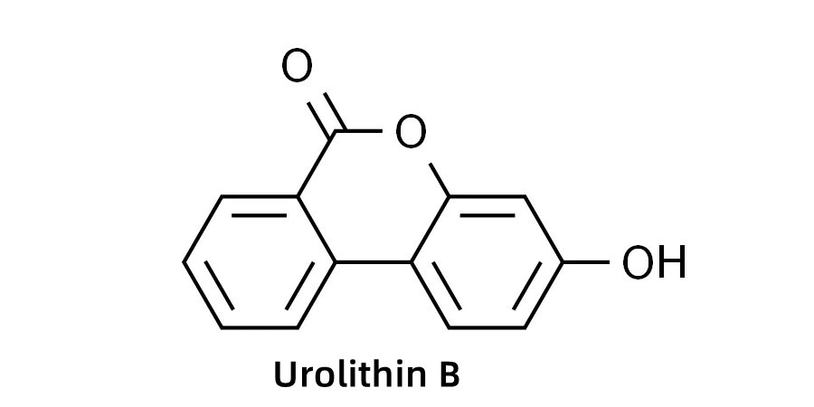 Urolithin B