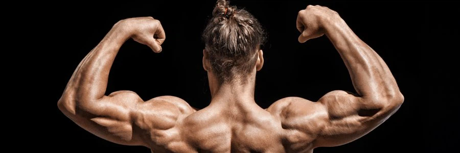 Ligandrol-lgd-4033 effects