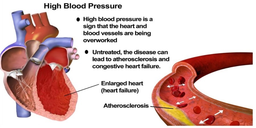 product-900-450 product-900-450