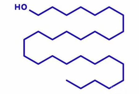 product-450-305 product-450-305