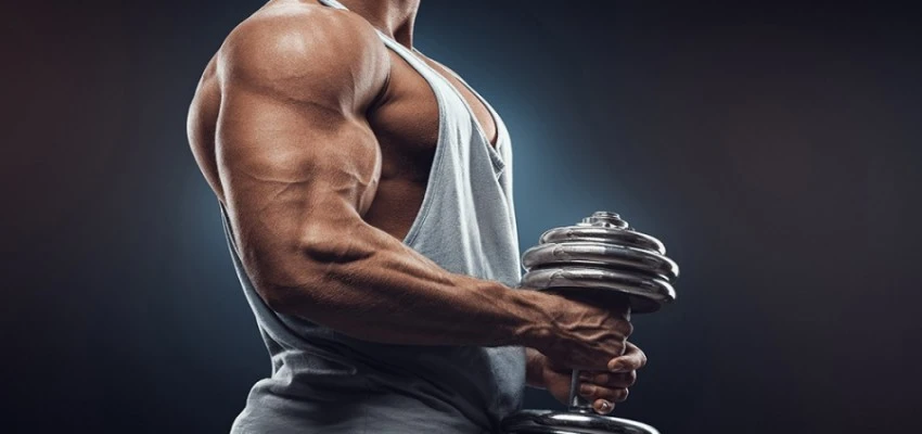 RAD 150 MUSCLE MASS