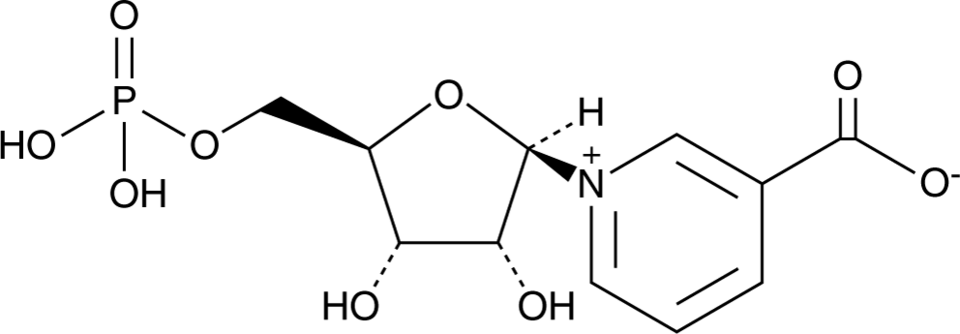 Nicotinic Acid Mononucleotide