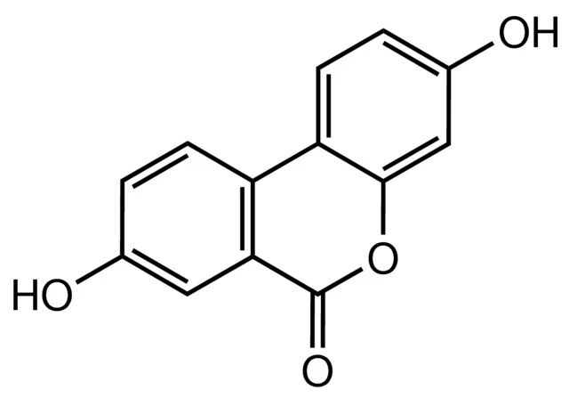 Urolithin A molecular formula