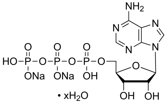 Adenosine 5 Triphosphate Disodium Supplement MF