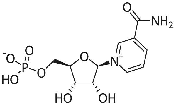 NMN molecular formula