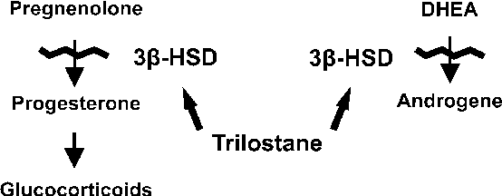 Mechanism Of Action Of Trilostane
