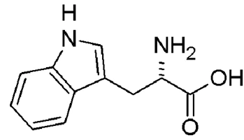 tryptophan structure tryptophan structure
