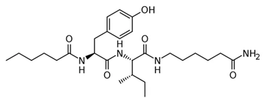dihexa structures