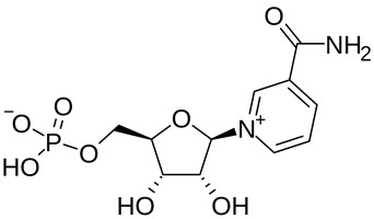 Liposomal NMN structure