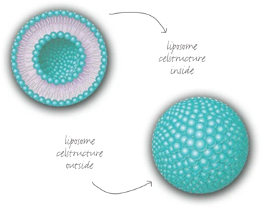 Liposomal structure