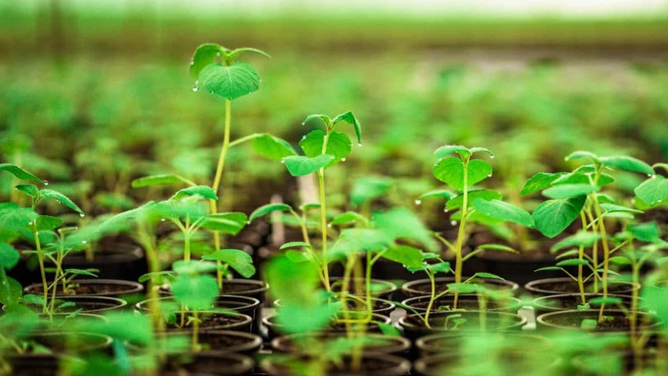 Agriculture and Plant Breeding Agriculture and Plant Breeding