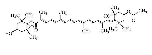 Fucoxanthin molecular formula Fucoxanthin molecular formula