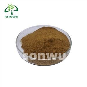 Best Turkesterone Supplement