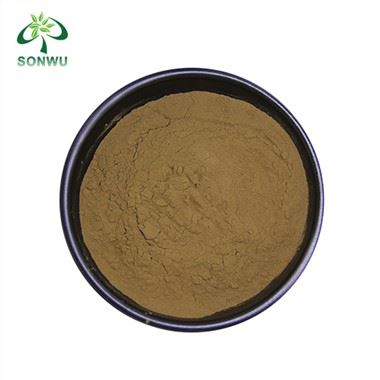 Bulk Lion's Mane Powder