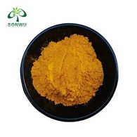 Coenzyme Q10 Powder