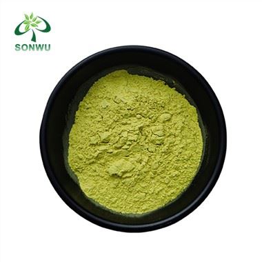 Organic Quercetin Powder