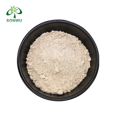 Carmustine Powder
