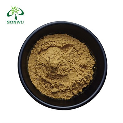 Ganoderma Lucidum Polysaccharide Powder