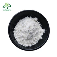 Nootropic Fonturacetam Hydrazide