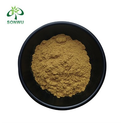 Seabuckthorn Flavone Powder