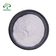 Semaglutide 99 Powder