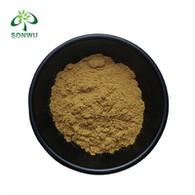 Verbascoside Powder
