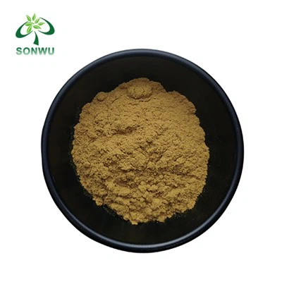 Verbascoside Powder