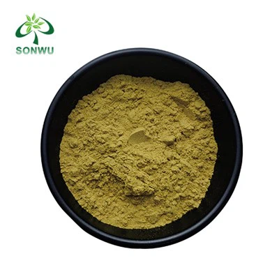 Yucca Extract Powder