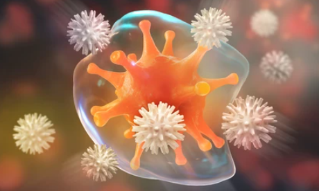 Cytoprotection of Urolithin A