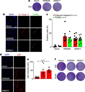 Is SR9011 Better Than SR9009 Is SR9011 Better Than SR9009