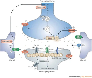 What is the pharmacological mechanism of Nooglutyl What is the pharmacological mechanism of Nooglutyl