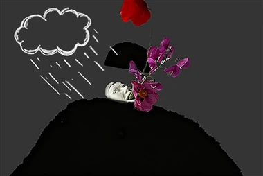 Antidepressants and probiotics become new hot topics in adjunctive treatment ...