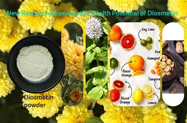 Researchers Examine Diosmetin’s Potential Role in Fighting Oxidative Stress