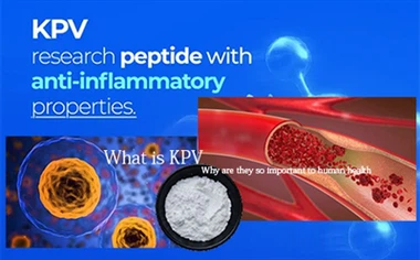 What Are Serine Proteases? Why Are They So Important To Human Health