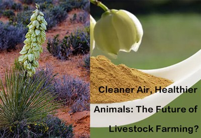 Cleaner Air, Healthier Animals The Future Of Livestock Farming