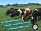 Emerging Advances in Parasite Control: A Revolution in Livestock And Pet Care