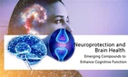 Neuroprotection And Brain Health: Emerging Compounds To Enhance Cognitive Fun...