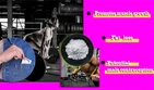 Can You Build Muscle And Increase Bone Density Simultaneously