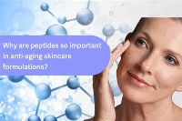 Why Are Peptides So Important in Anti-aging Skincare Formulations