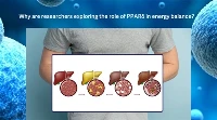 Why Are Researchers Exploring The Role Of PPARδ in Energy Balance