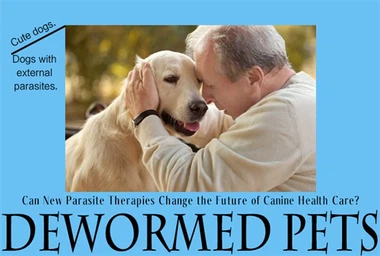 Can New Parasite Therapies Change The Future Of Canine Health Care