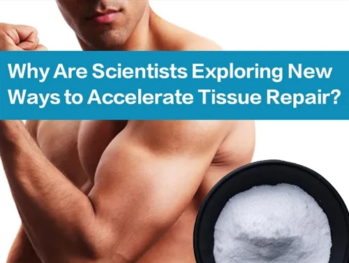 Why Are Scientists Exploring New Ways To Accelerate Tissue Repair