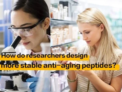 How Do Researchers Design More Stable Anti-aging Peptides