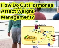 How Do Gut Hormones Affect Weight Management