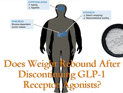 Does Weight Rebound After Stopping GLP-1 Receptor Agonists