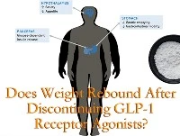 Does Weight Rebound After Stopping GLP-1 Receptor Agonists